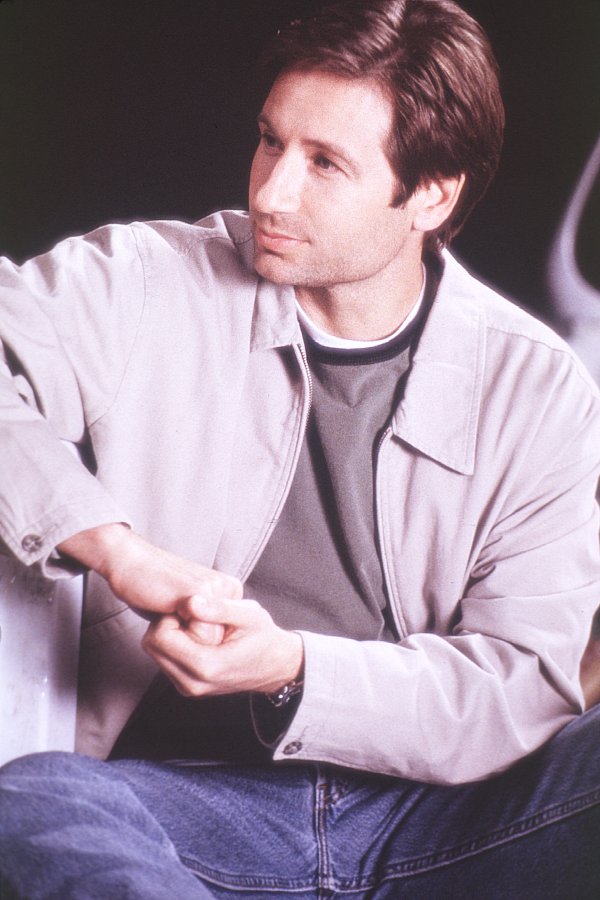 David Duchovny photo #4051